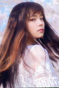 X探长是哪一种动物形象的拟人化